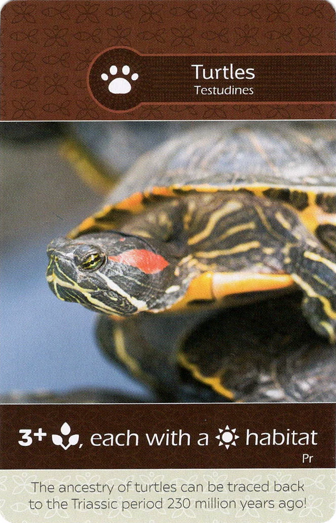 Earth: River Otter/Turtles Promo Card - Image 2