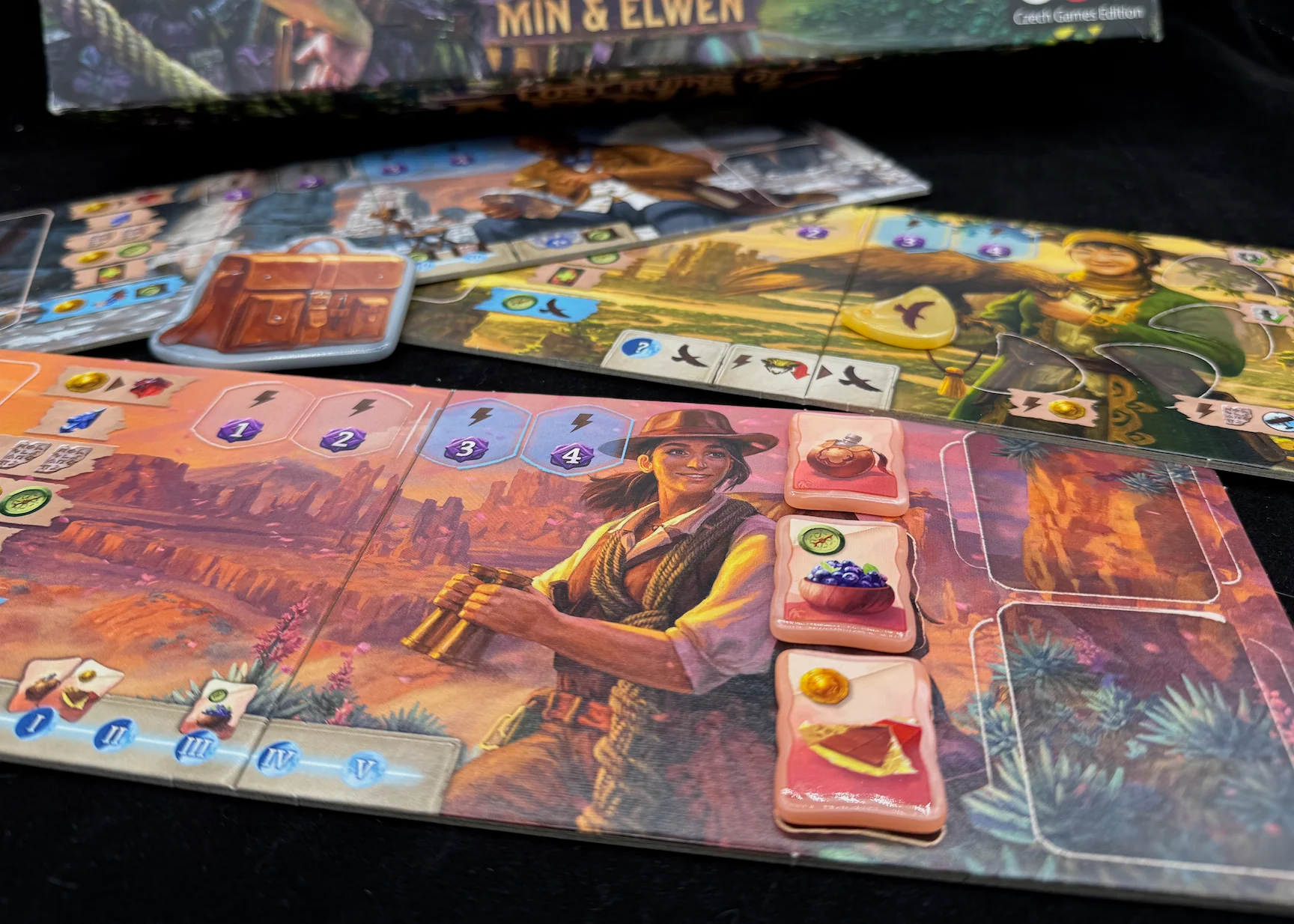 GeekUp Bit Set: Lost Ruins of Arnak - Expedition Leaders Set - Image 9
