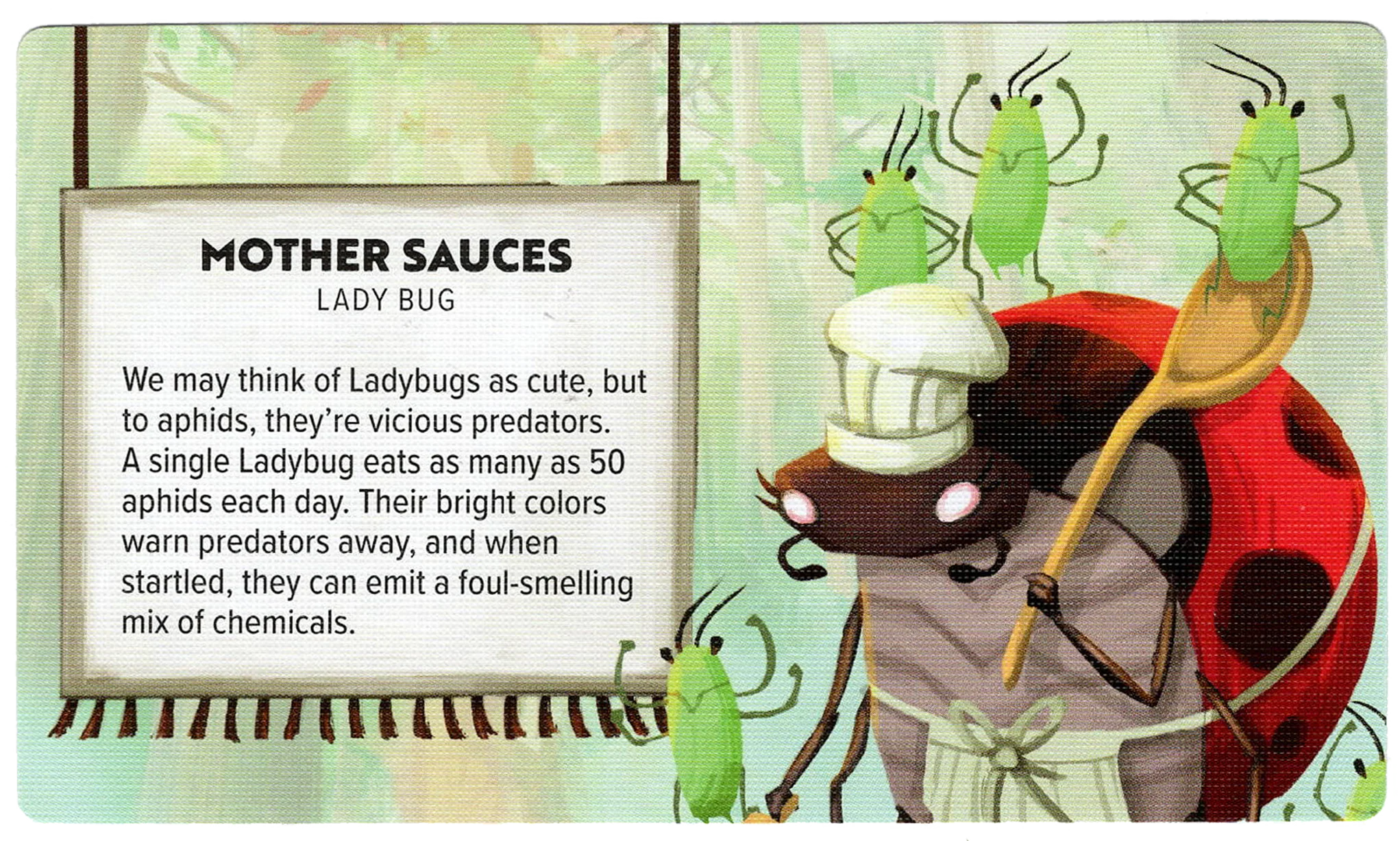Kabuto Mother Sauces - Image 3